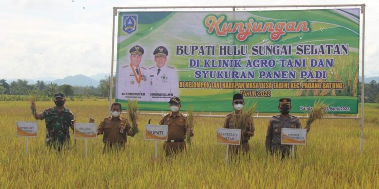 BUPATI HSS KUNJUNGI KLINIK AGRO TANI DAN SYUKURAN PANEN PADI