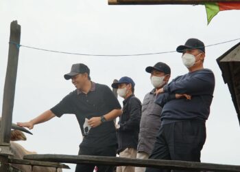 BUPATI HSS NIKMATI WISATA KERBAU RAWA DI DAHA UTARA