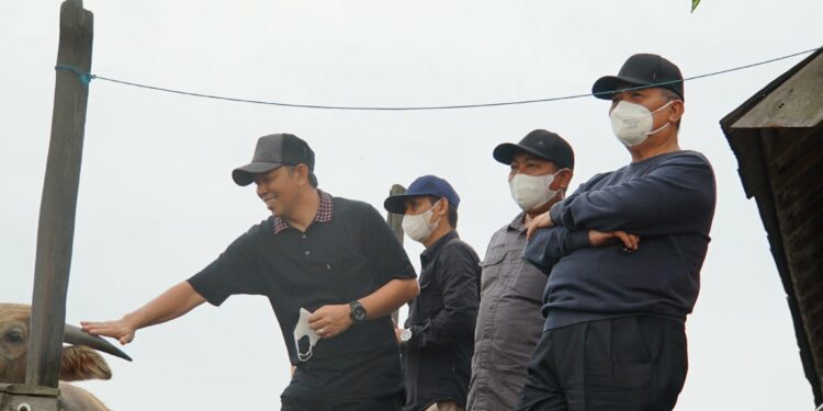 BUPATI HSS NIKMATI WISATA KERBAU RAWA DI DAHA UTARA