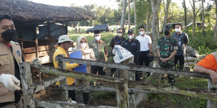 Pemkab HSS Melakukan Penyuntikan Vaksin PMK Tahap II Di Desa Panjampang Bahagia