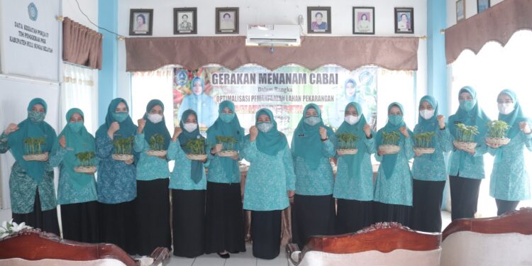 TP. PKK Kab. HSS Berikan Bibit Cabai Kepada Ketua TP. PKK Kecamatan Se-Kab. HSS