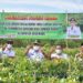 Panen Cabai dan Peninjauan Lokasi Pembibitan Sayuran