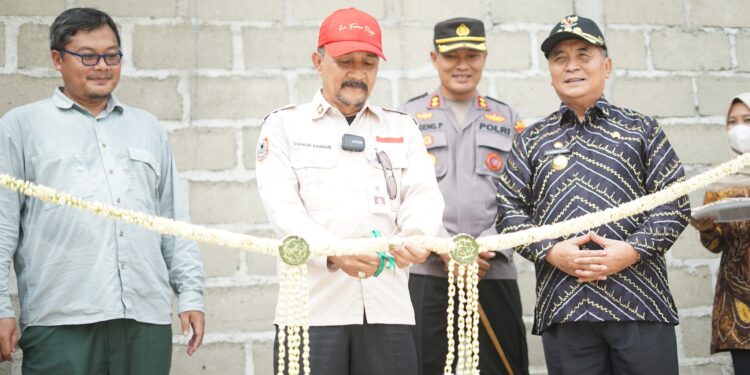 SYUKURAN PANEN PADI, SEMAI DAN PERESMIAN UV DRYER