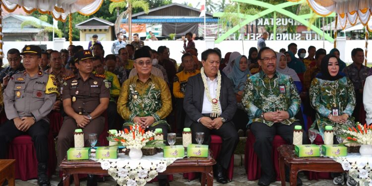 BUPATI HSS DAMPINGI KEPALA PERPUSNAS RI MERESMIKAN GEDUNG LAYANAN PERPUSTAKAAN KAB. HSS