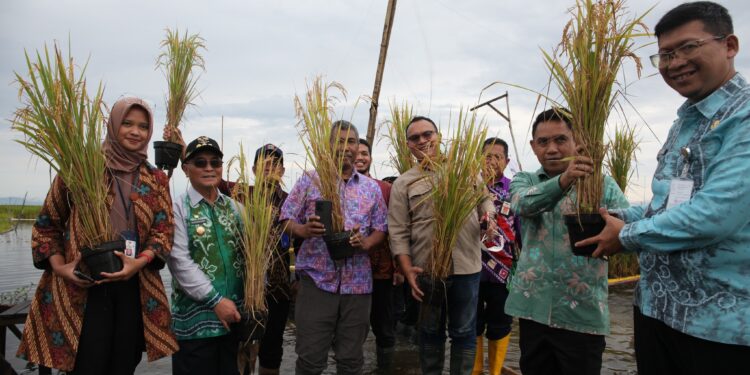 TIM PENILAI INDEPENDEN DAN TIM PENILAI UTAMA BAPPENAS RI KUNJUNGI BUDIDAYA PADI APUNG
