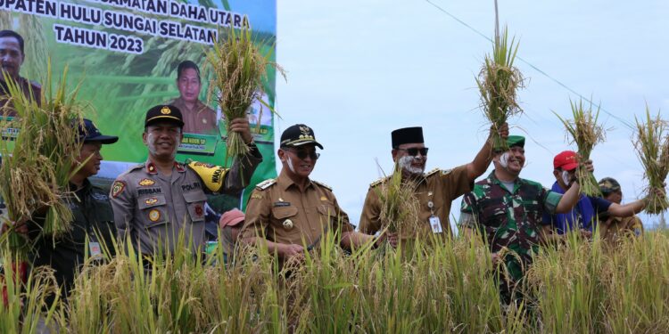 BUPATI HSS BERSAMA GUBERNUR KALSEL PANEN PADI APUNG DI DESA HAMAYUNG