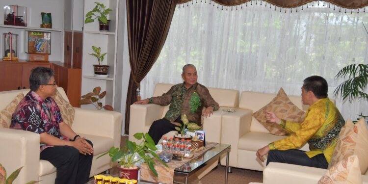 BUPATI HSS TERIMA KUNJUNGAN DARI PLT DIREKTUR UTAMA BANK KALSEL