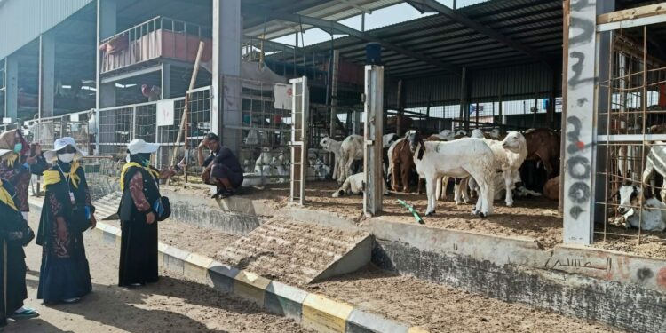 JEMAAH HAJI DARI KAB. HSS MELAKSANAKAN PEMBAYARAN DAM DI JABAL QURBAN