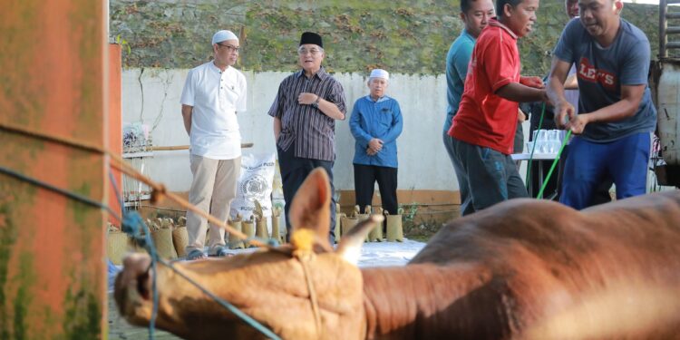 JAJARAN SETDA KAB. HSS LAKSANAKAN IBADAH KURBAN DALAM MOMENTUM HARI RAYA IDUL ADHA 1444 H