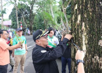 BUPATI HSS BERSAMA PECINTA ANGGREK INDONESIA HIASI POHON DI SEPANJANG JALAN NUSA INDAH DENGAN PULUHAN ANGGREK