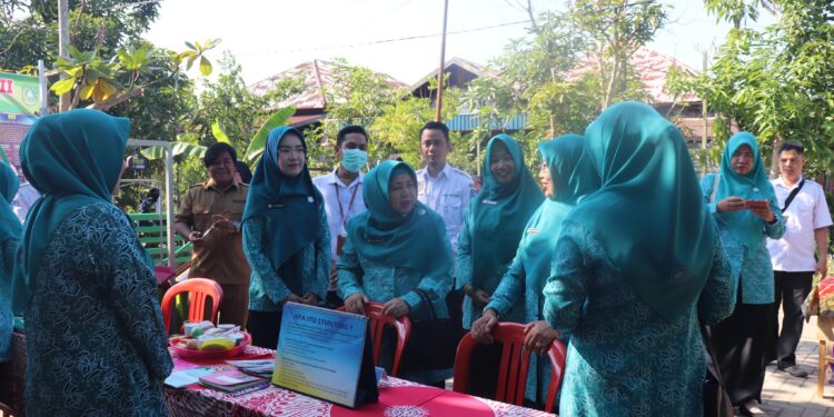 TP. PKK KAB. HSS BERIKAN PEMBINAAN KEPADA TP. PKK KEC. DAHA UTARA SERTA PENYERAHAN BANTUAN DI POSYANDU RUQAYAH II