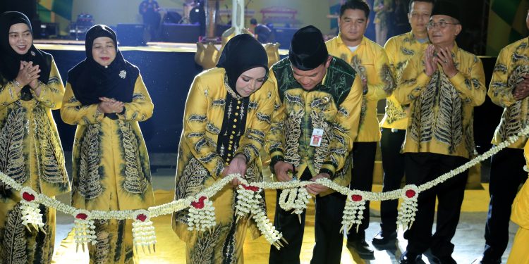 PJ. BUPATI DORONG KEGIATAN HSS EXPO BISA DIMANFAATKAN OLEH PARA UMKM YANG ADA DI HSS