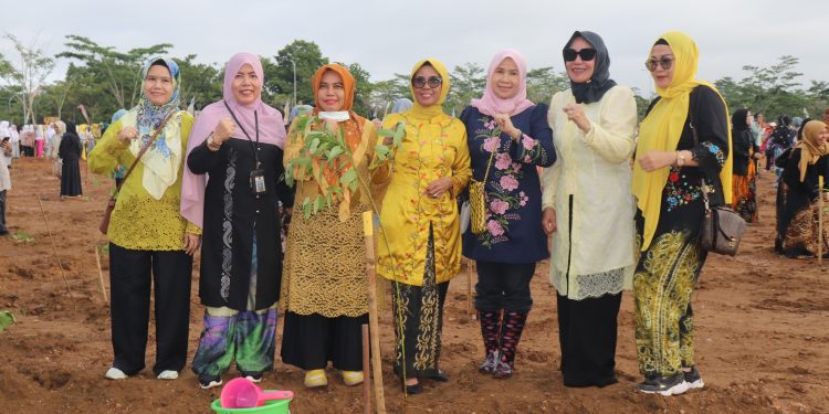 PERINGATAN HARI KARTINI KALSEL 2024 : PENJABAT KETUA TP. PKK HSS IKUT GERAKAN TANAM POHON
