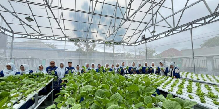 PANEN PERDANA KEBUN PKK, BUKTI NYATA KETAHANAN PANGAN KELUARGA MANFAATKAN LAHAN PEKARANGAN